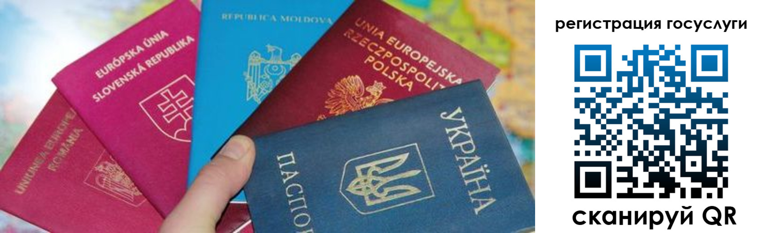 прописка гарантия в Ртищево